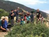 Bat Host Michael answering questions, Science Camp 2016