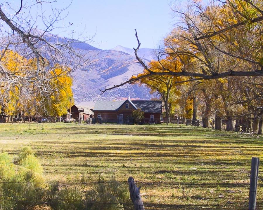 Ranching Heritage